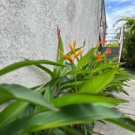 Seasons Break Apartment Pereybere Pereybere Beach Exterior photo