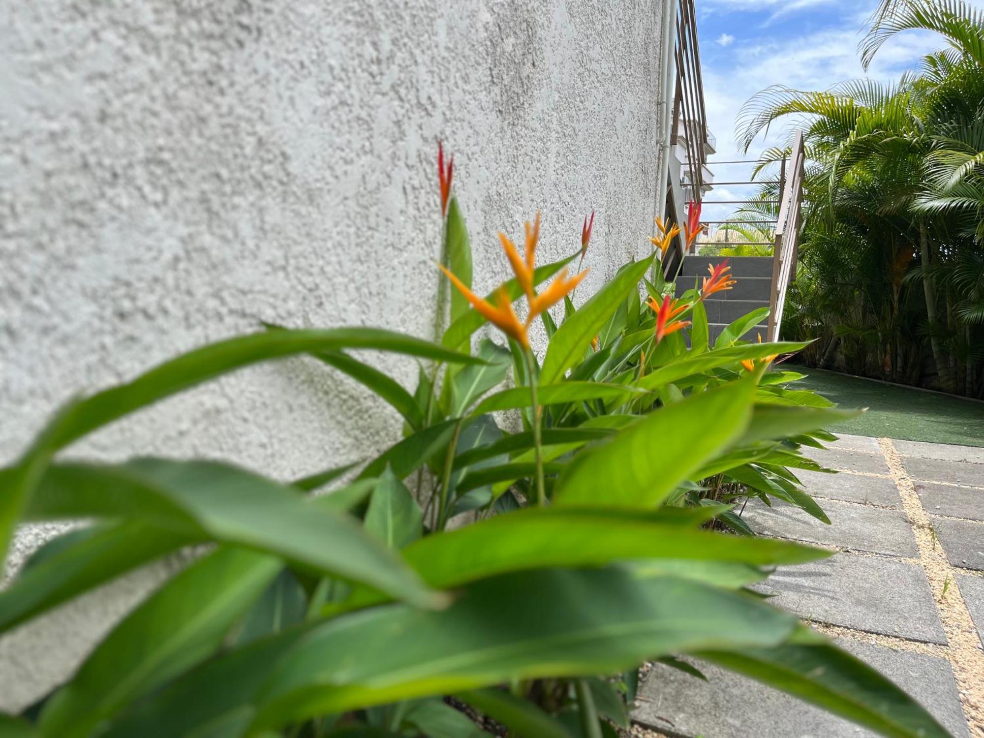 Seasons Break Apartment Pereybere Pereybere Beach Exterior photo